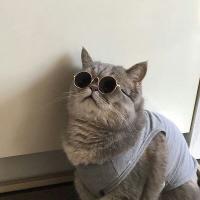 author profile image