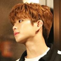 author profile image
