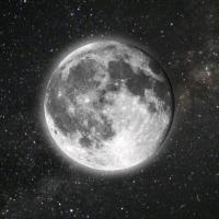 author profile image