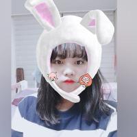 author profile image