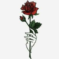 author profile image