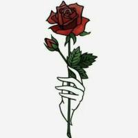 author profile image