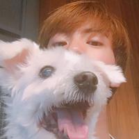 author profile image
