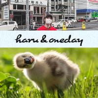 author profile image