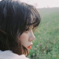 author profile image