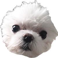 author profile image