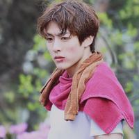 author profile image