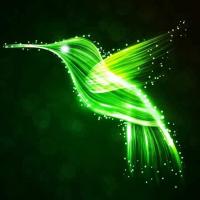author profile image