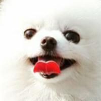 author profile image