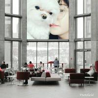 author profile image