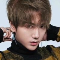 author profile image
