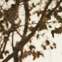 user_profile