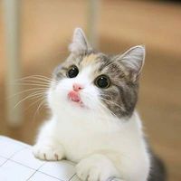user_profile