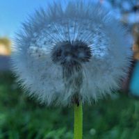 user_profile