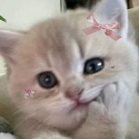 user_profile