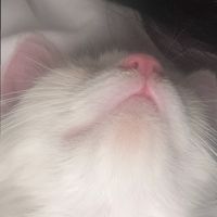 user_profile