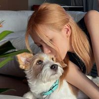 user_profile