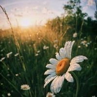 user_profile