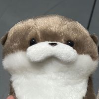user_profile
