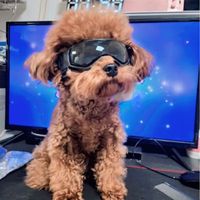 user_profile