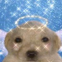 user_profile