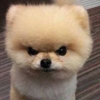 user_profile