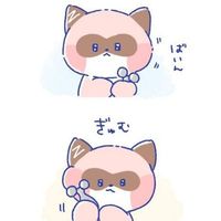 user_profile