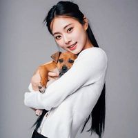 user_profile