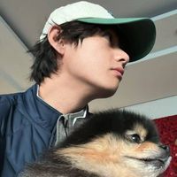 user_profile