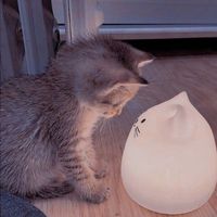 user_profile