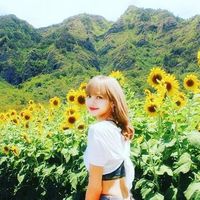 user_profile