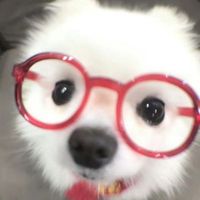 user_profile