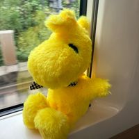 user_profile