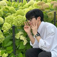 user_profile
