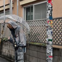 user_profile