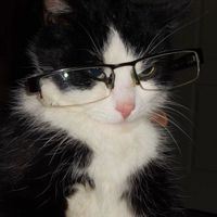 user_profile