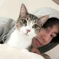 user_profile