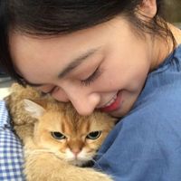 user_profile