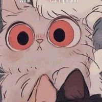 user_profile