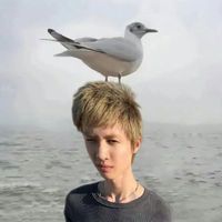 user_profile