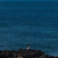 user_profile