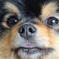 user_profile