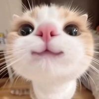 user_profile