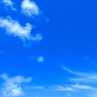 user_profile