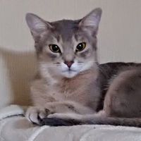 userProfile