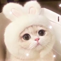 user_profile