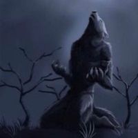 user_profile