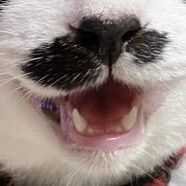 user_profile