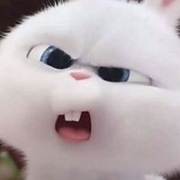 user_profile