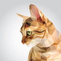 user_profile